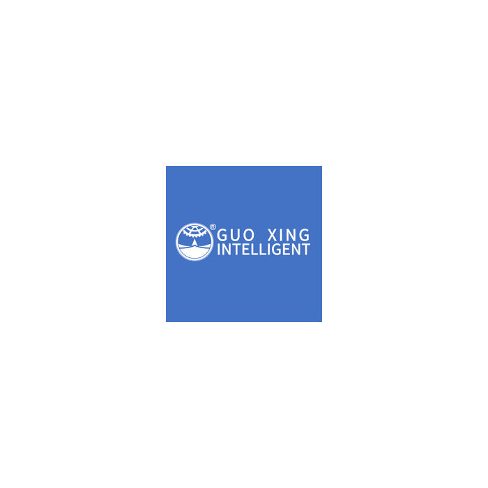 Guo Xing AT9S Remote Control (AT9S)